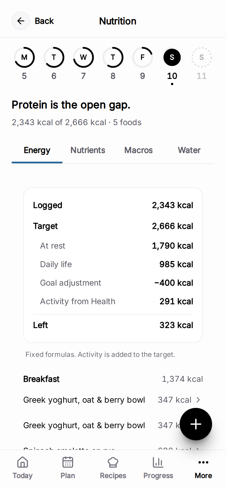 How the target is built: logged, target, at rest, daily life, goal adjustment, activity from Health and what is left.